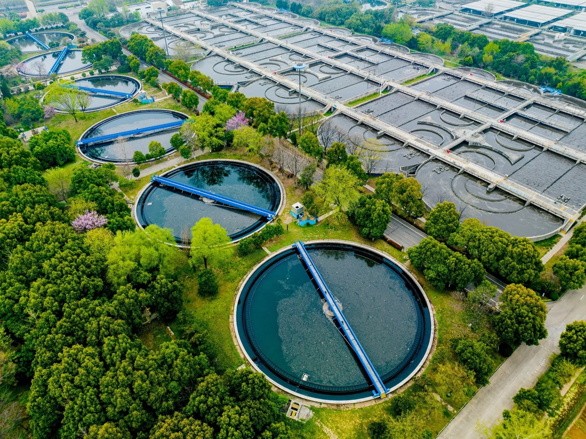 Rainwater collection system